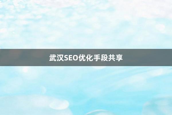 武汉SEO优化手段共享