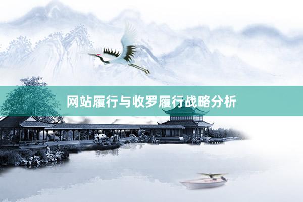 网站履行与收罗履行战略分析